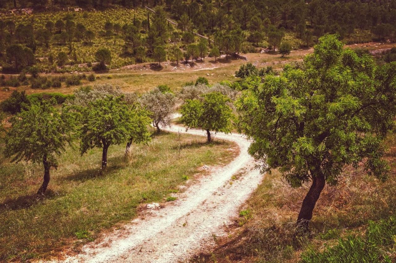 Pinos del Valle Casa Mundo - 16Th Century Traditional White Village House With Pool מראה חיצוני תמונה